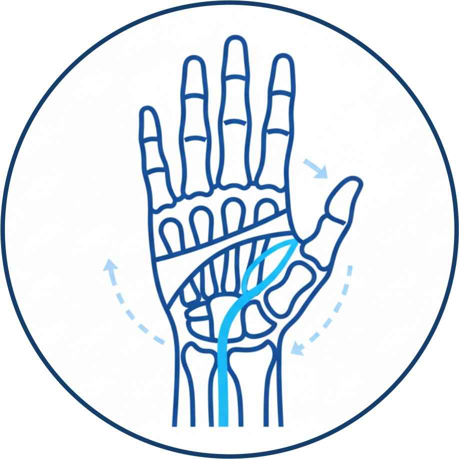 Hand Upper Extremity icon